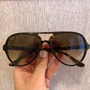 Ray Ban Cats